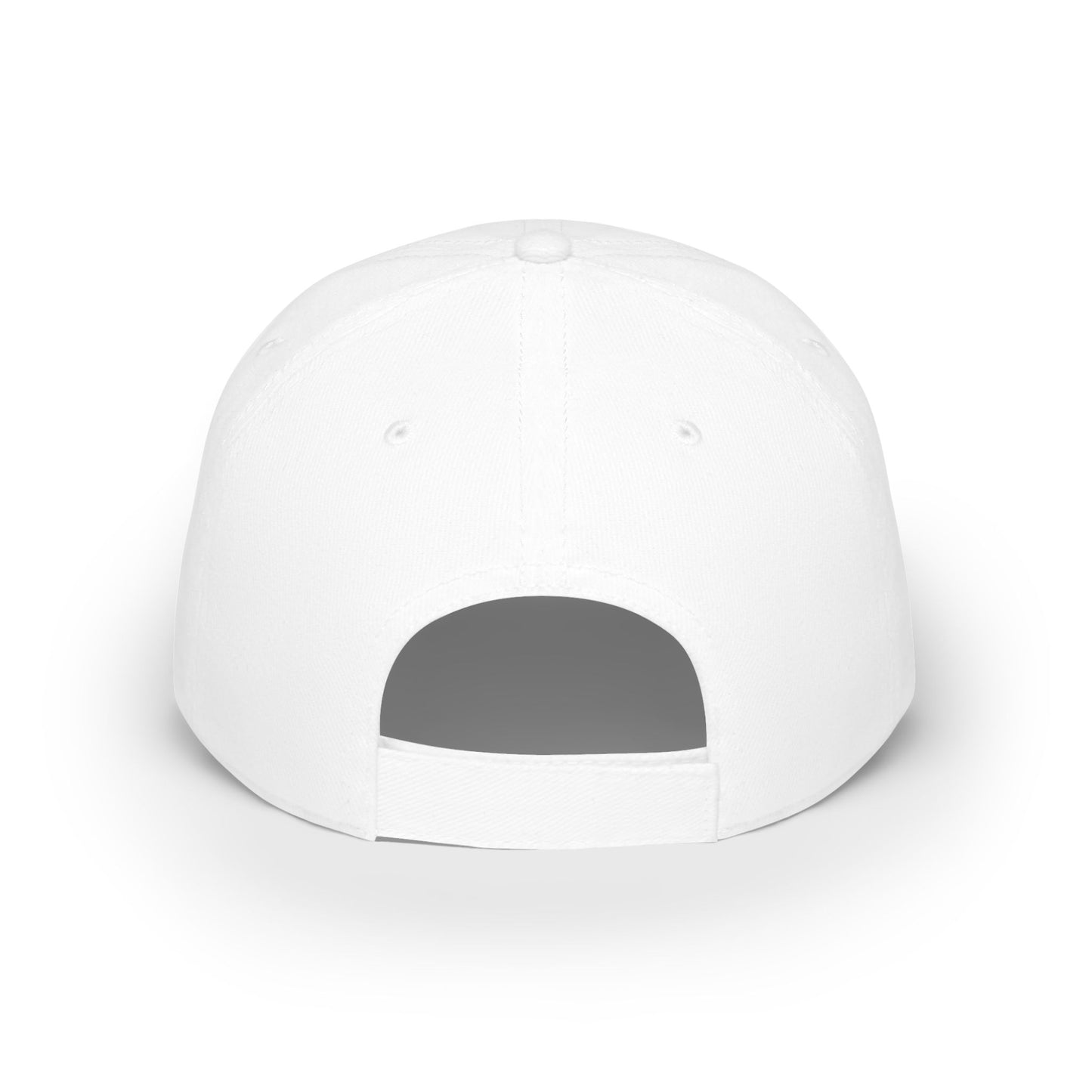 Vote Low Profile Baseball Cap - Have the Day You Voted For
