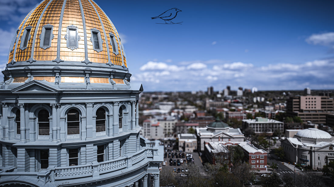 What Happened today - 5 May 2025