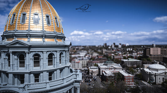 What Happened today - 5 May 2025