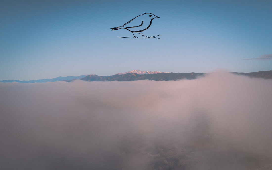 What Happened Today - 27 May 2025