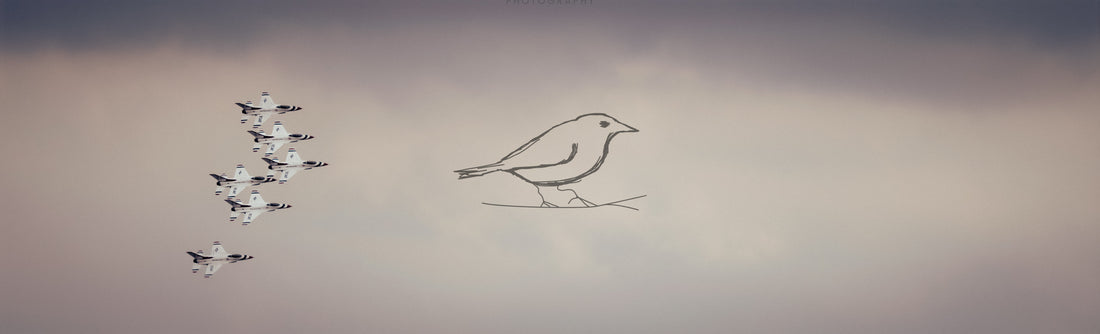 What Happened Today - 29 May 2025