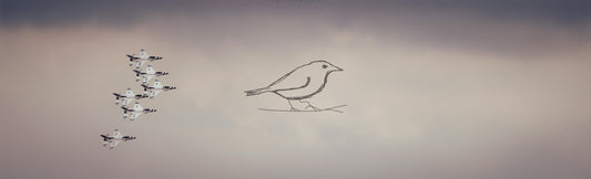 What Happened Today - 29 May 2025