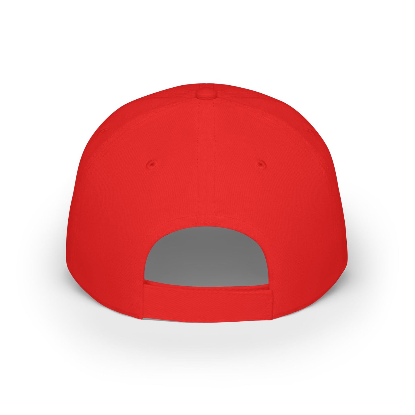 Vote Low Profile Baseball Cap - Have the Day You Voted For