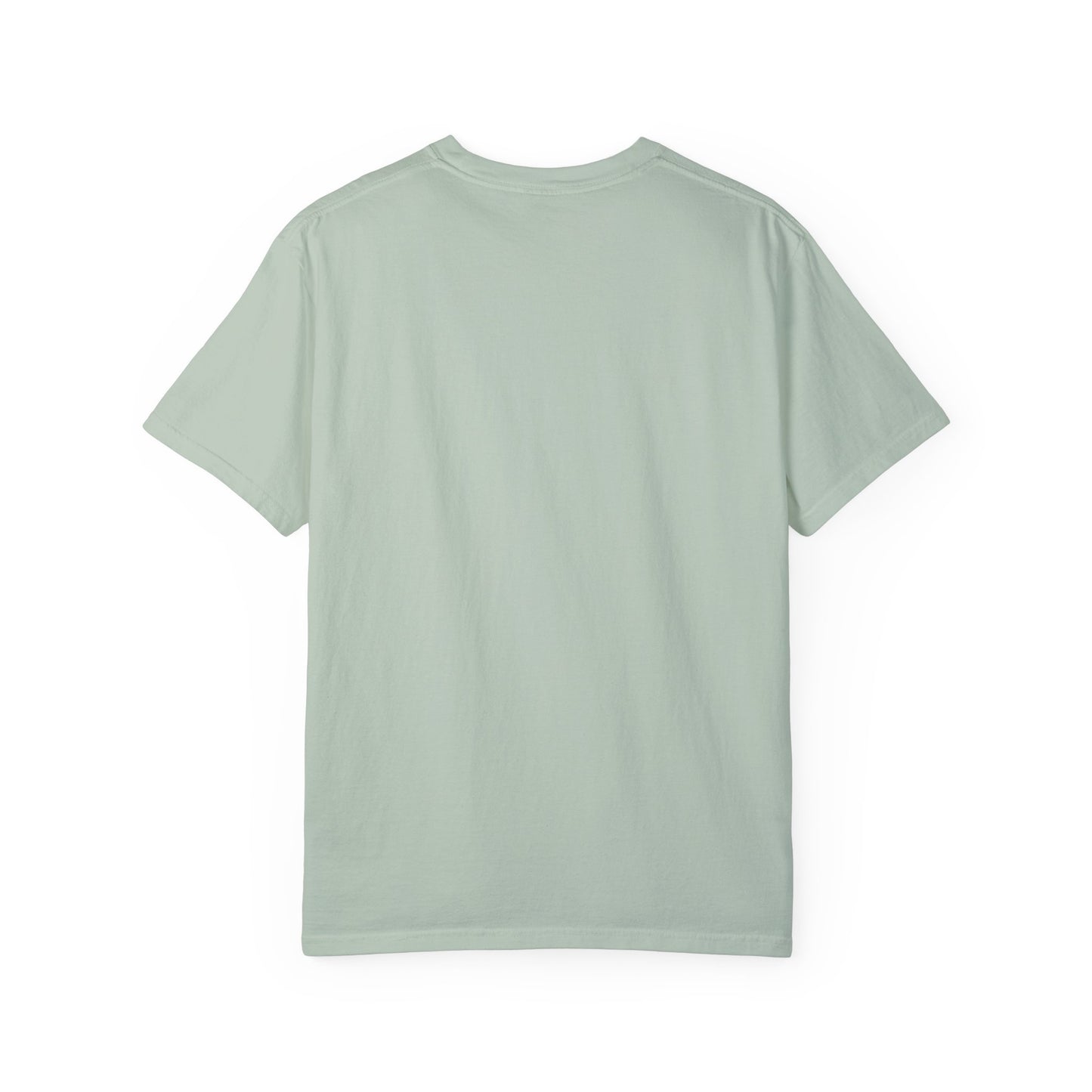 T-Shirt - 'Hey Elon! Even Grok Says Your Full of Crap!'