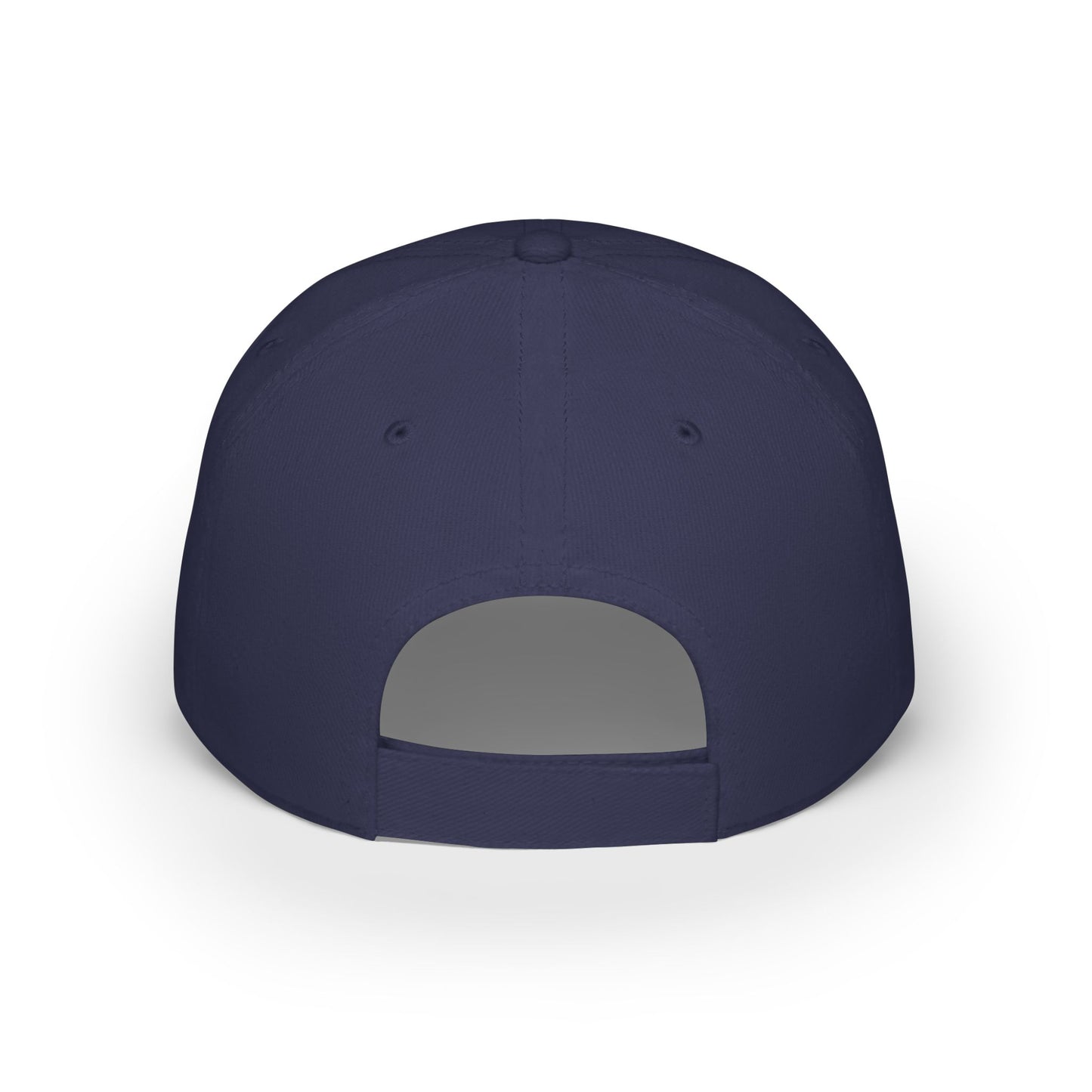 Vote Low Profile Baseball Cap - Have the Day You Voted For