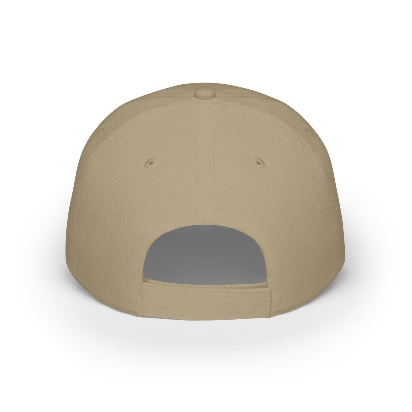 Vote Low Profile Baseball Cap - Have the Day You Voted For